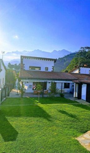 Frente a los Picos de Europa
